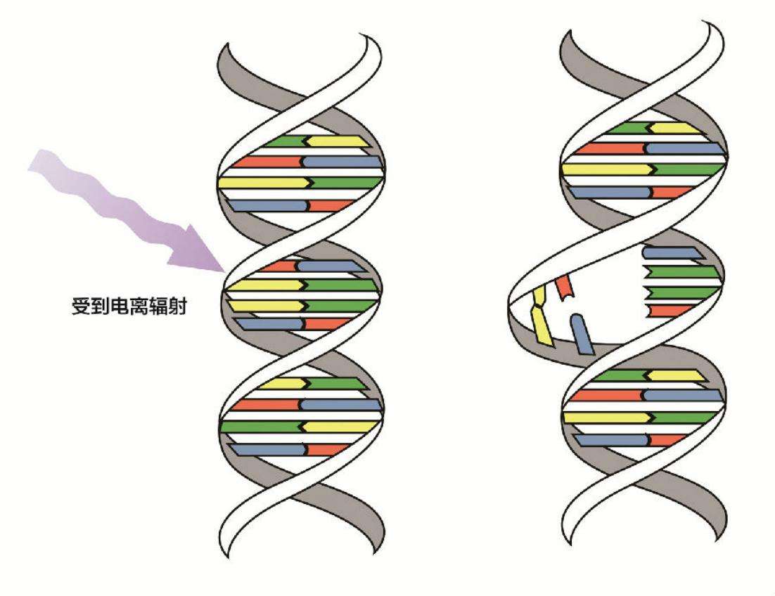 辐射检测要注意些什么？科学防范从这几点出发